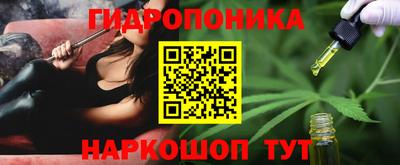 мдпв Рязань